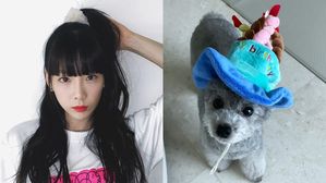 [스브스타] 태연, 반려견 생일 축하하며 밝힌 속마음 "힘들었던 2017년&hellip;"