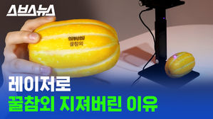 관련 이미지