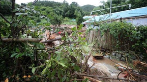 아산 삽교천서 발견된 시신 폭우 실종 80대 주민으로 확인돼