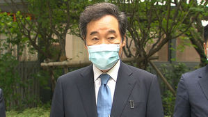이낙연 민주당 대표