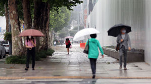 우산, 호우, 비, 소나기, 장마, 빗방울