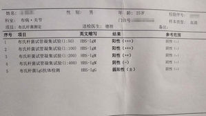 브루셀라균 항체 양성반응 결과지 (사진=펑파이 캡처, 연합뉴스)