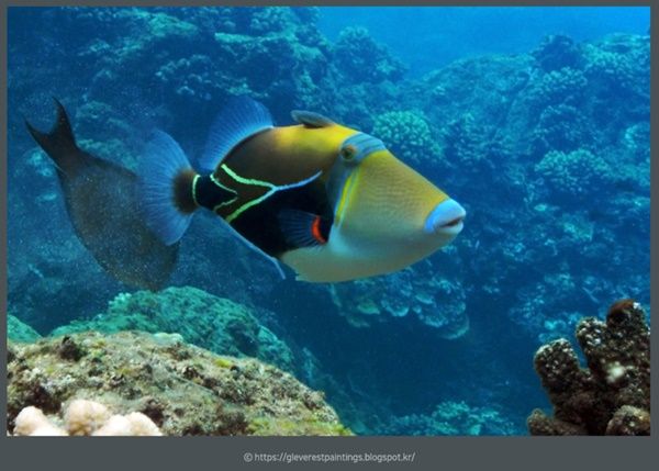 '합성 의혹' 부르는 가지런한 치열…후무후무누쿠누쿠아푸아아