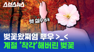 [스브스뉴스] 벚꽃왔쪄염 뿌우>_< 계절 '착각'해버린 벚꽃