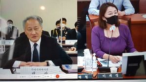 국정감사서 의원들의 질의에 답하는 이석배 주러 대사(왼쪽) (사진=화상 국정감사 화면 캡처, 연합뉴스)
