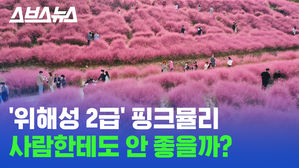 관련 이미지