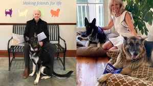 [인-잇] 퍼스트 독, 그 명과 암