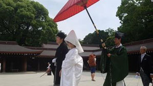 도쿄 메이지 신궁(진구)에서 결혼식을 올린 신혼부부와 하객들이 본전 경내를 나가고 있다