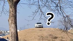 경주 왕족 고분 위 주차한 '무개념 차주'&hellip;시민들 분노