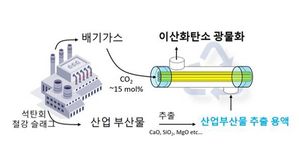 기술 모식도 (사진=KAIST 제공, 연합뉴스)