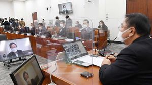 화상 의원총회에서 발언하는 민주당 이낙연 대표
