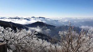 추위 속 덕유산에 핀 상고대 (사진=부영 제공, 연합뉴스)