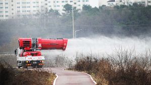 야생조류 인플루엔자 사실상 종료…"재유행 대비"