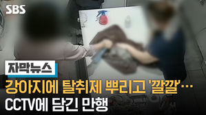 [자막] 전연남기자_강아지에 탈취제 뿌리고 '깔깔'…CCTV에 담긴 만행