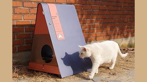 포스코건설 '철'로 튼튼한 동네고양이 급식소 만든다