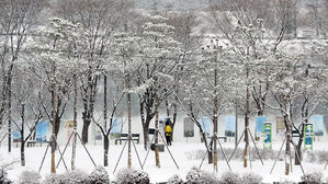 대설주의보가 내려진 13일, 강원 춘천 공지천 모습 (사진=연합뉴스)