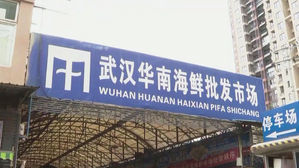 우한 시장