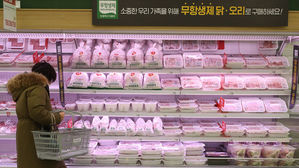 고병원성 AI 발생 후 오리 산지가격 44%↑…닭·달걀은 소폭 상승