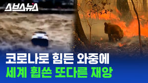 관련 이미지