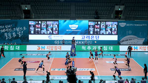 프로배구 무관중으로 경기 진행&hellip;"방역지침 지키며 예의주시"