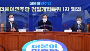 검찰개혁특위에서 발언하는 이낙연 대표