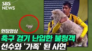 관련 이미지