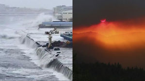 [취재파일] 한반도 강타한 태풍의 날갯짓, 지구 반대편에선 산불로