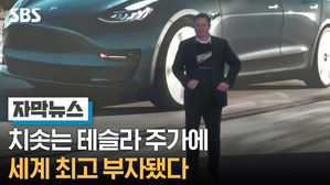 [자막뉴스]테슬라 주가