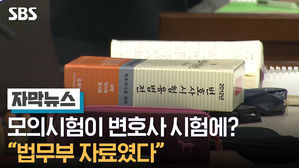 [자막뉴스]변호사 모의시험