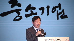 이낙연 더불어민주당 대표