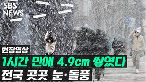 관련 이미지