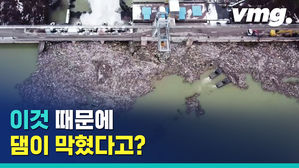이게 전부 다 플라스틱..쓰레기로 뒤덮힌 세르비아 호수 상황
