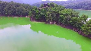 [취재파일] 기후변화가 가져온 또 다른 이상 현상, '호수에도 폭염'