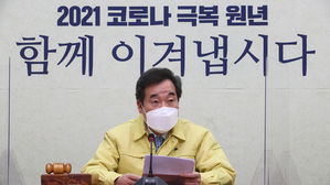 이낙연 더불어민주당 대표