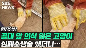 관련 이미지