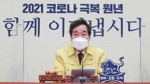 더불어민주당 이낙연 대표
