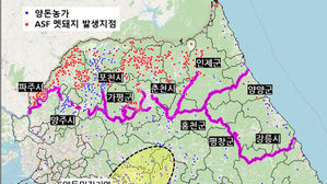 아프리카돼지열병 발생 상황과 광역울타리 (사진=농식품부 제공, 연합뉴스)