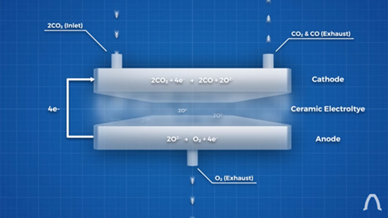 목시가 산소를 만들어 내는 원리