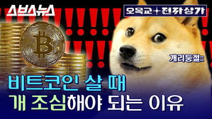 비트코인의 폭락을 예언하는 코인? 도지코인의 비밀 [오목교 전자상가 EP.27] 스브스뉴스