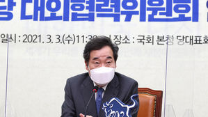 이낙연 더불어민주당 대표
