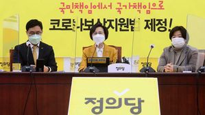 정의당 비상대책위원회의