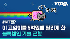 '고양이 짤방 파일' 하나로 5억 원 벼락부자&hellip;이게 다 'NFT' 덕분이라는데?!