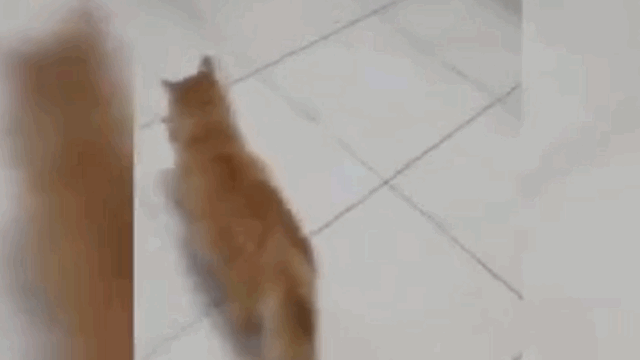 '새끼가 눈을 못 떠요
