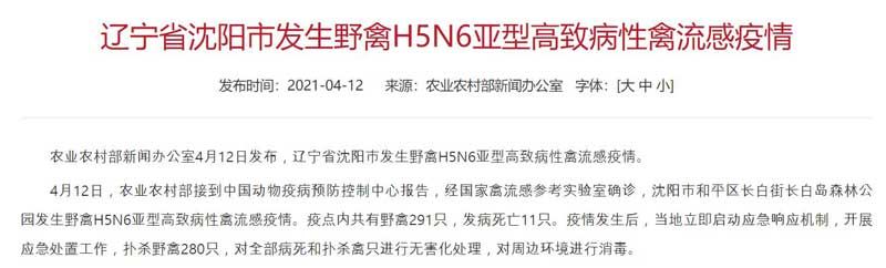 '북한 인접' 중국 랴오닝성서 고병원성 AI 발병 (사진=중국 농업농촌부 홈페이지 캡처, 연합뉴스)