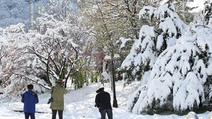 설국으로 변한 구룡령 (사진=연합뉴스)