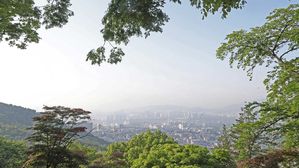 날씨, 맑음, 포근, 봄, 화창