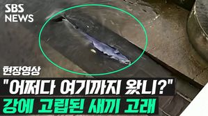 관련 이미지