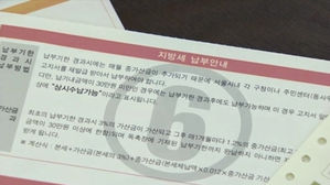 지방세 (사진=연합뉴스TV 캡처, 연합뉴스)