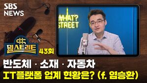 뭘스 43