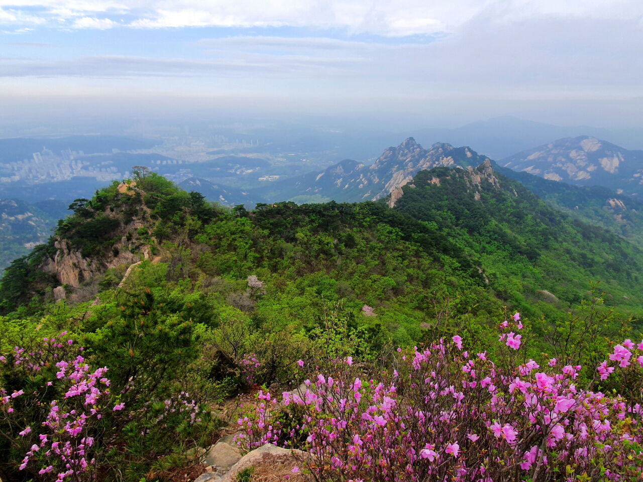 꽃들이 흐드러진 산의 저편에 의상능선이 몸을 잔뜩 늘어뜨린 채로 고요하다.